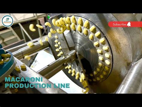 Pasta machine Die and Inserts - Macaroni Pasta Die Manufacturer from Noida