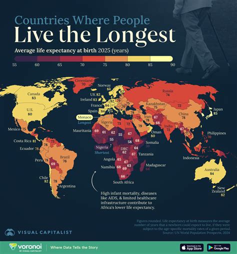Life Expectancy By Country