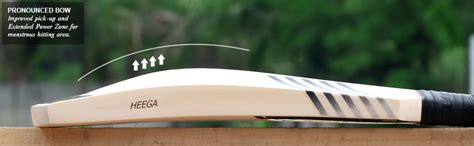 Heega Bigbully Mongoose Kashmir Willow Cricket Bat (Pre-Knocked ...