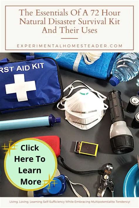 Image result for Disaster Survival Kit