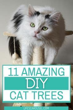 PVC Cat Tree 的图像结果