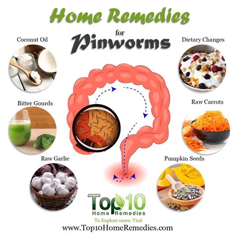 Home Remedies For Pinworms: Effectiveness And Use, 49% OFF
