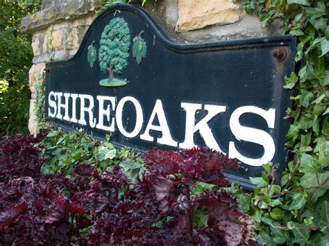 Image result for Prosumer Camera