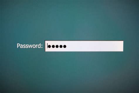 Image result for Input Text Box