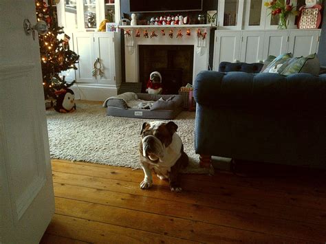 New Year New Shades - Add a digital filter to your Camp Snap camera ...