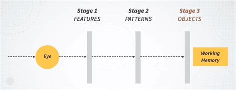 Perception 的图像结果