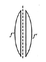 A biconvexlens is cut intotwo equal parts by a plane perpendicular to ...