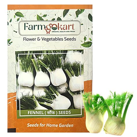 Farmgokart | 10 Gms of FENNEL (INDIAN SAUF) | Appx 2500 Seeds | High ...