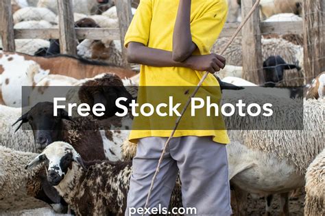 Image result for Computer Management Boy Image