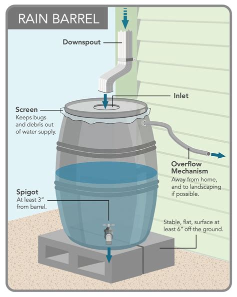 How To Build A Rain Barrel System at Hayley Forster blog