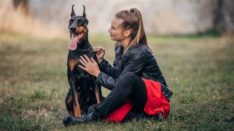 7 Best Dog Breeds For Single Women That Offer Companionship EN Pet YOLO