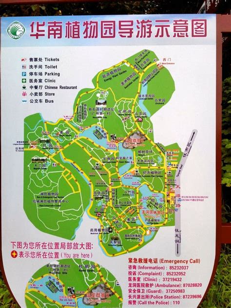 华南植物园门票_手绘
