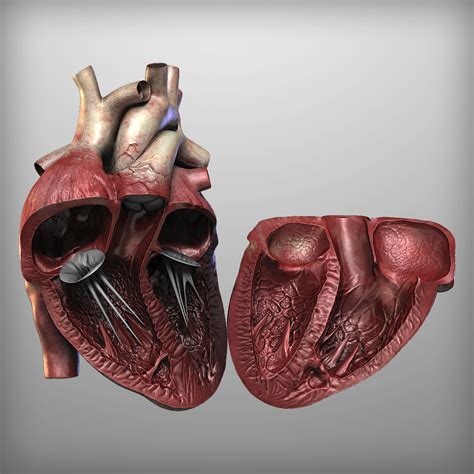 Image result for Boxing Simulator Script