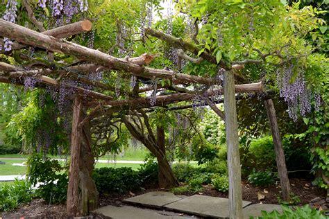 Willowwood Arboretum - Gardens - Morris County Park Commission