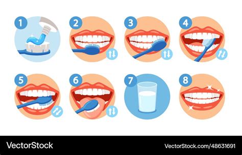 Teeth Cleaning Tutorial 的图像结果