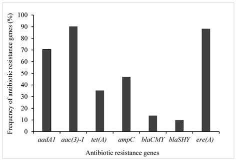 Molecular Detection of Antibiotic Resistance Genes in Shiga Toxin ...