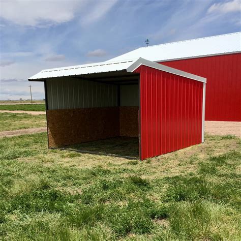 12 X 12 Shed