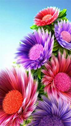 3d Hd Wallpapers Flowers by 3d Color Flowers Flower Wallpaper Wallpaper Iphone 3d Hd Wallpapers Flowers