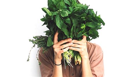 Best Of L-Methylfolate: Uses, Effects, Dosage & Interactions