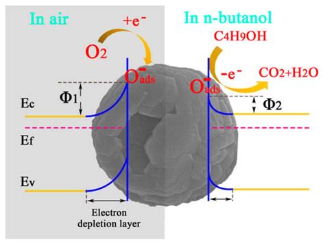 Synthesis of ZnO Hollow Microspheres and Analysis of Their Gas Sensing ...