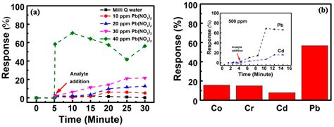 Graphene-Based Chemiresistor Sensors for Drinking Water Quality Monitoring
