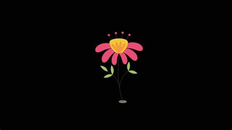 Image result for Falling Flower Animation
