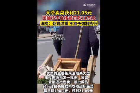 6月29日，河南洛阳老农卖菜挣21元被罚款11万元 法院：处罚过重……|强制执行_新浪新闻