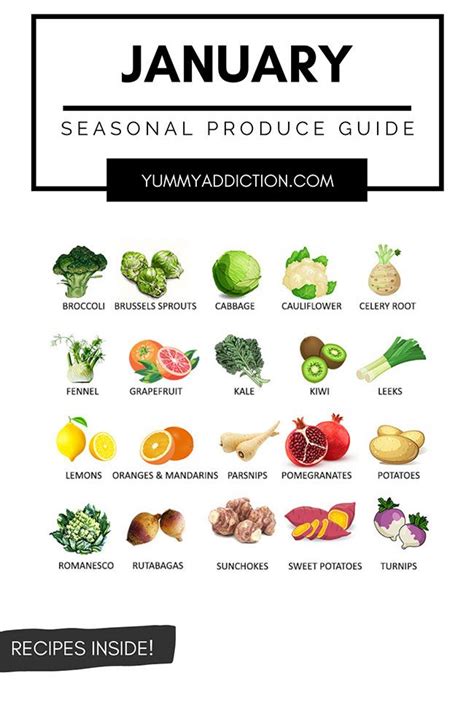 A seasonal produce guide highlighting fruits and vegetables that are at ...