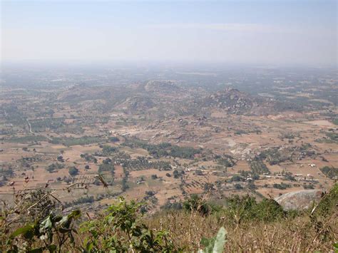 Tata Realty & Infra acquires 25-acre Bengaluru land for Rs 9.86 bn