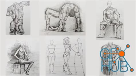 Image result for Beginner Figure Drawing