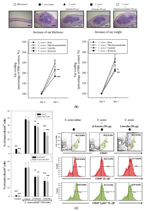 In Vitro and In Vivo Screening of Wild Bitter Melon Leaf for Anti ...