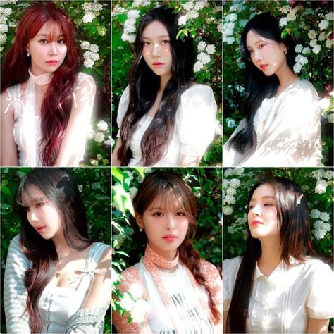 MOMOLAND resumes full-group activities with Inyeon Entertainment ...