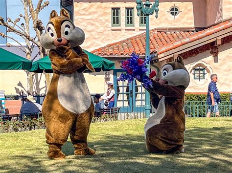 PHOTOS & VIDEO: Where to Meet Chip 'n Dale Rescue Rangers in Disney ...