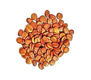 SS Seed Supplier's Pandhara Shiras (Albizia lebbeck )Seed (Brown_1kg ...