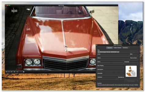 Image result for Open Swf Adobeanimate