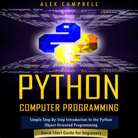 Python Computer Simple 的图像结果