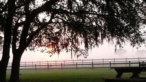 GOETHE TRAILHEAD RANCH (Dunnellon) - Ranch Reviews & Photos - Tripadvisor