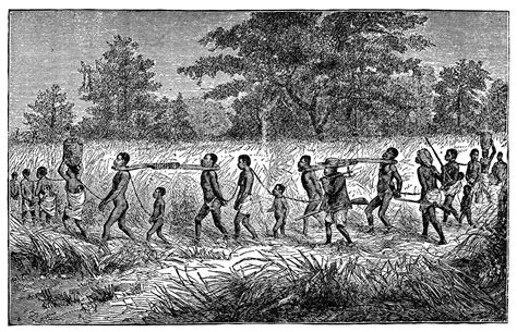 Slavery Images In America at Tayla Currey blog