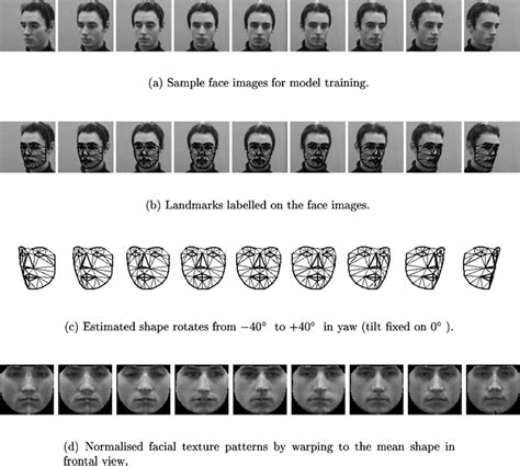 Multi Model View 的图像结果