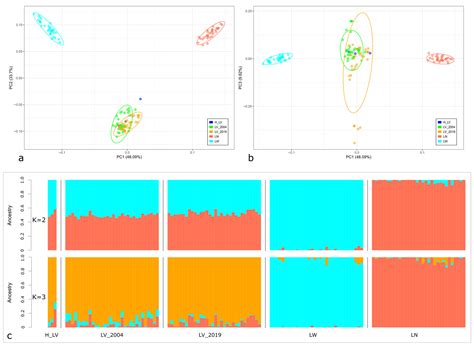 Tracing the Dynamical Genetic Diversity Changes of Russian Livni Pigs ...