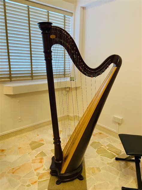 Replace a String On a Lever Harp 的图像结果