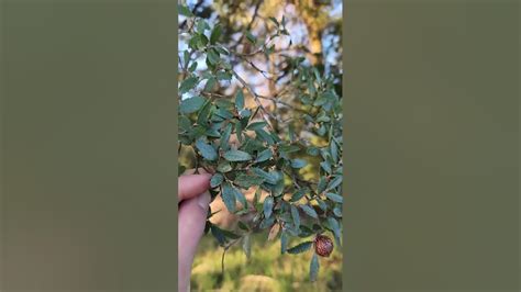 Image result for How to Color Text On Java