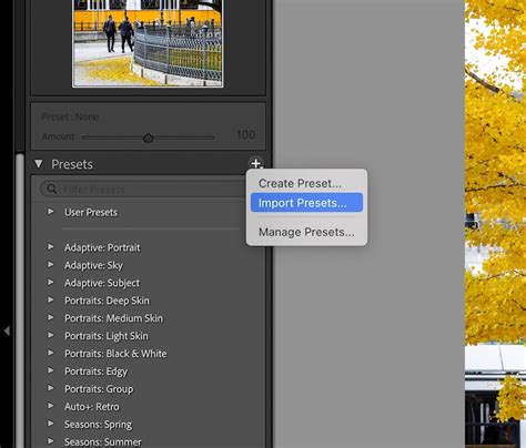How to Save a Preset in Lightroom (Faster Workflow)