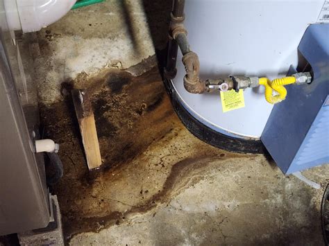 Leaky water heater. Repair or replace? : r/Plumbing