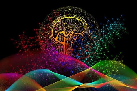 Image result for Memory Brain Process