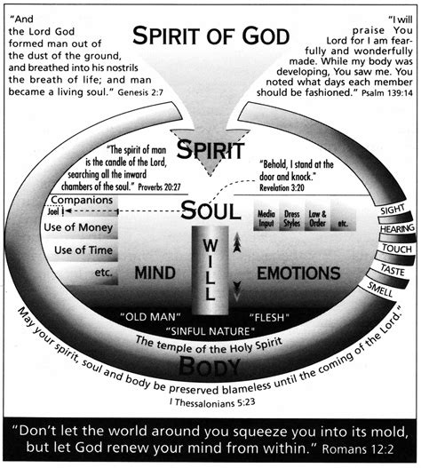 Soul Bible Definition - The Witness