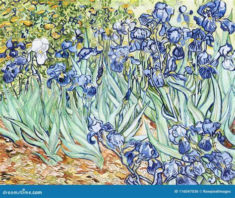Irises 1889 by Vincent Van Gogh Editorial Photo - Illustration of ...