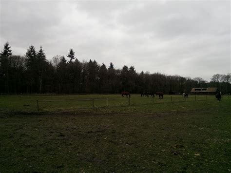 Bas Langereis leest u voor!»Blog Archive » B-log: 25 februari t/m 3 ...