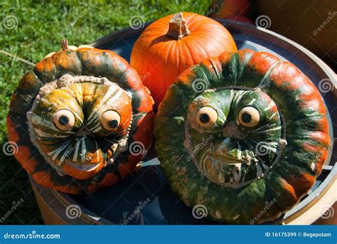 Funny pumpkin faces stock image. Image of gourd, garden - 16175399