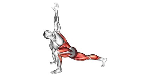 10 Effective Quadratus Lumborum QL Muscle Exercises For Strengthening ...